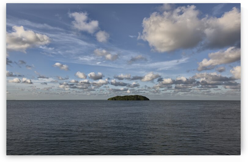 Island Mangrove by Images By Jon Evan