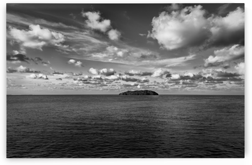 Island Mangrove II by Images By Jon Evan