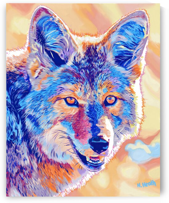 Coyote Lovely by Holly Heath