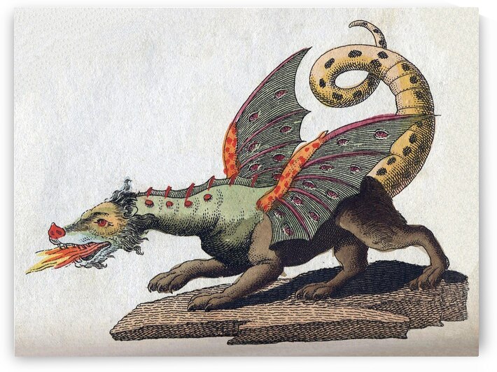 IMG 0329 by Magikheart