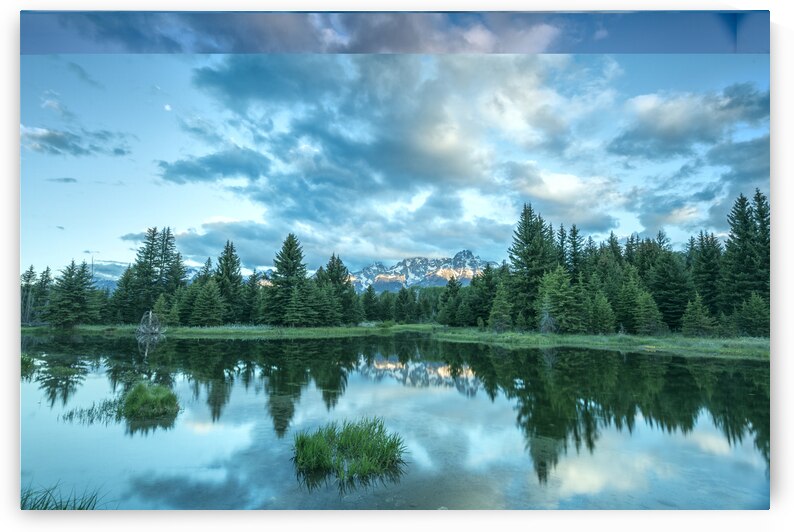 Flash of Light by Images By Jon Evan