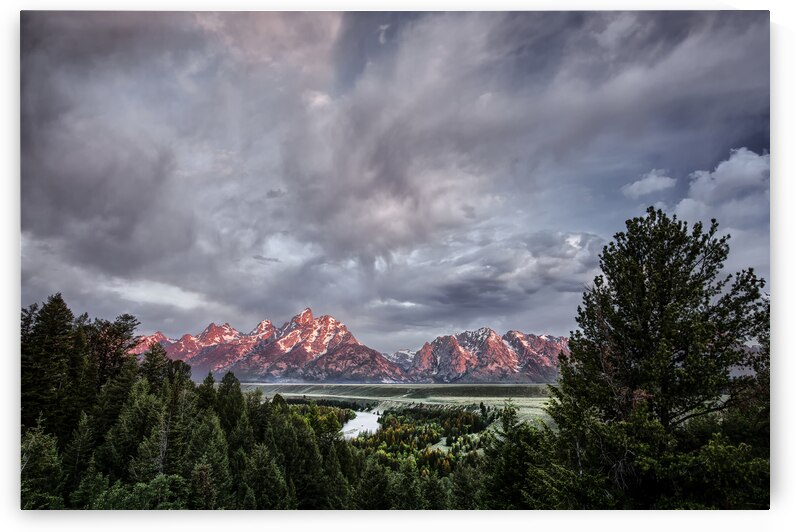 Grand Treetons II by Images By Jon Evan