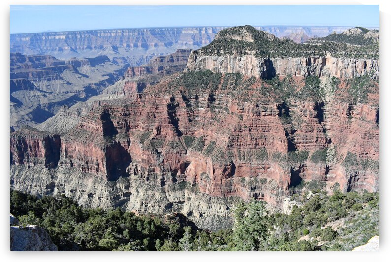 Grand Canyon North Rim by Perspectives Photography by Katie Johnson