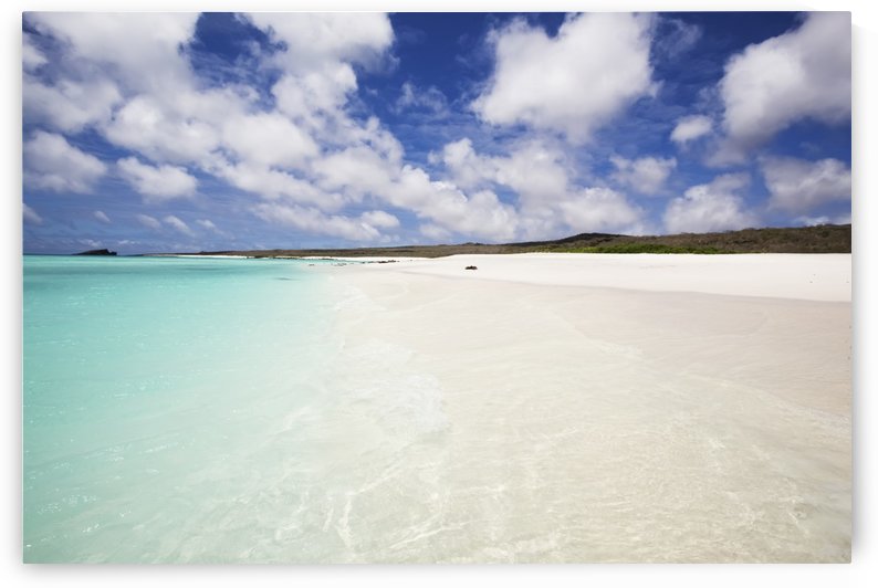White sand beach with crystal clear turquoise water and blue sky by PacificStock