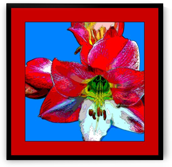 AMARYLLIS 002 by LES MAYERS 
