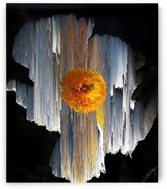 The Vibrant Smell of Poppy - Floral Art Print by Corina Ioana