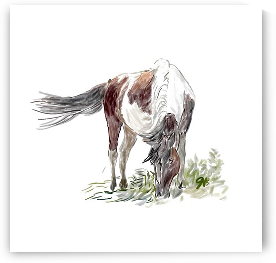 Island Pony by Sarah Butcher