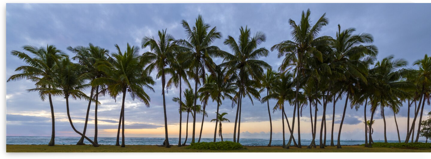  Gathered on the Island  by Images By Jon Evan
