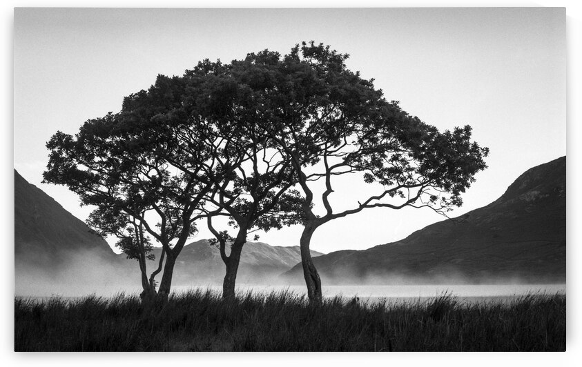 Morning Mist over Crummock Water by Dave Bowman