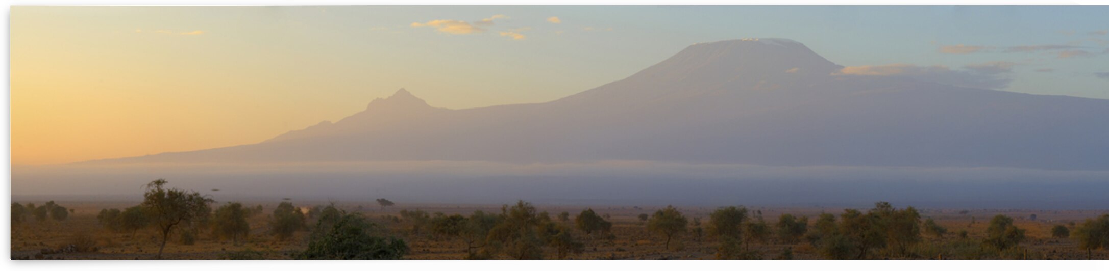 Mountains dawn Amboseli Pk Mt Kilimanjaro TAZN 115474 by Panoramic Images