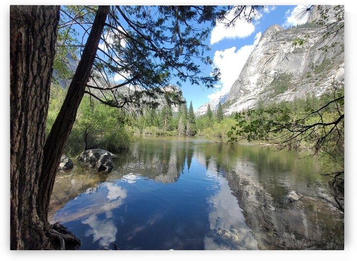 20230526 164842 by Virginia Designs