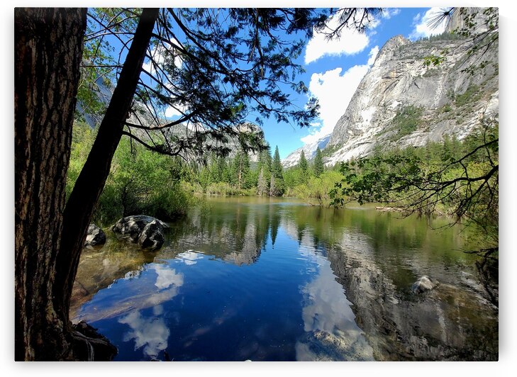 20230526 164942 by Virginia Designs