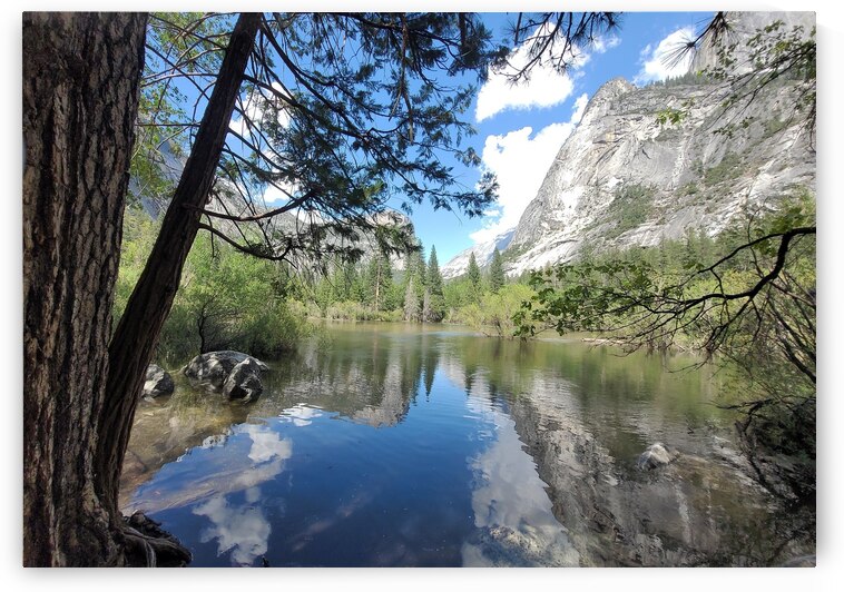 20230522 152041 by Virginia Designs