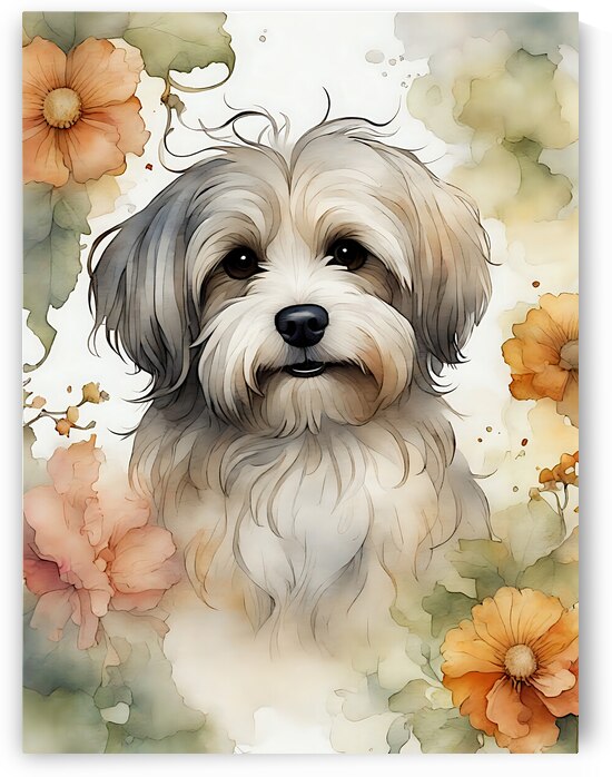 Cute Havanese Dog 1 by Mankdhani