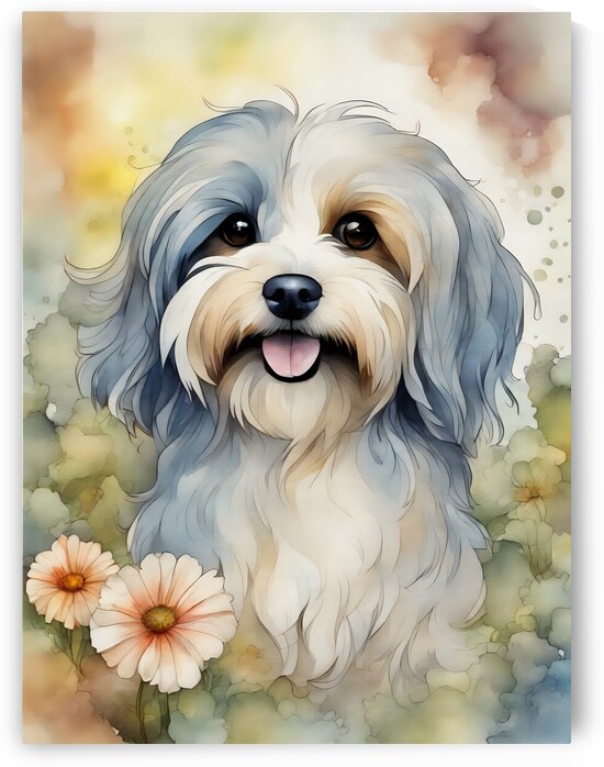 Cute Havanese Dog 3 by Mankdhani