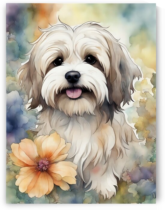 Cute Havanese Dog 4 by Mankdhani