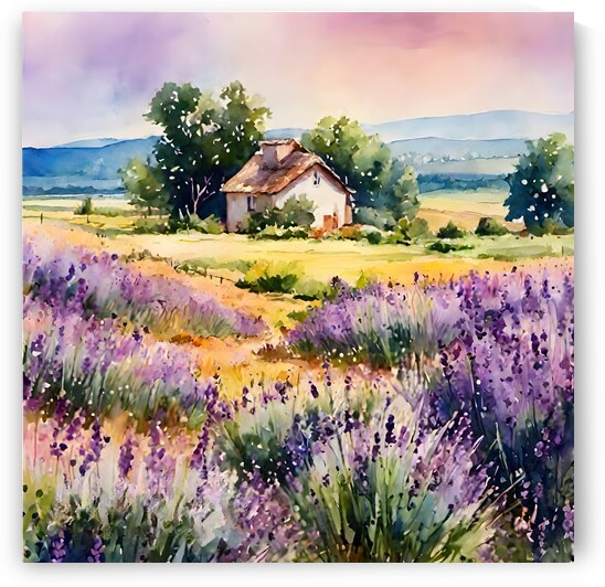 Lavender Meadow by Hoosain Harneker
