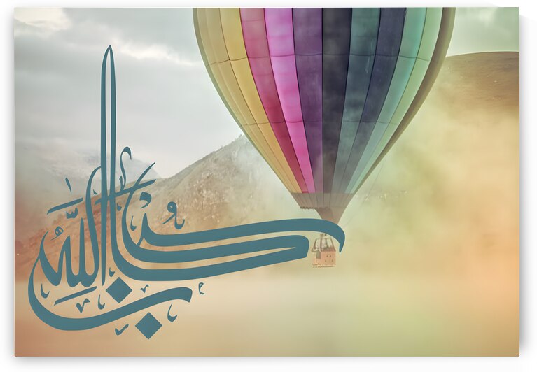 Balloon Aloft by Hoosain Harneker