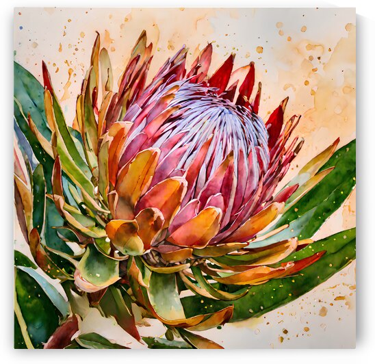 Protea by Hoosain Harneker