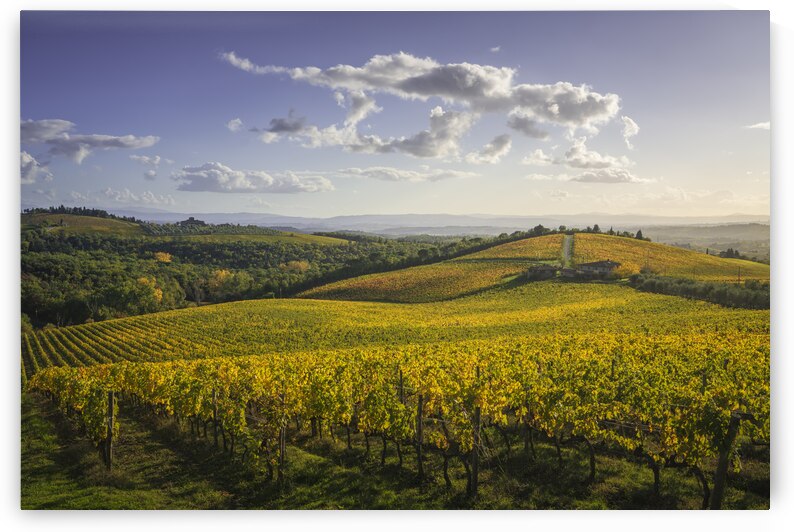Gaiole in Chianti vineyards and panorama at sunset. Tuscany by Stefano Orazzini
