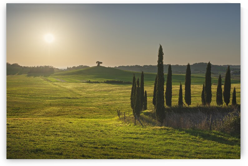Landscape in Maremma. Rolling hills and trees. Tuscany  by Stefano Orazzini