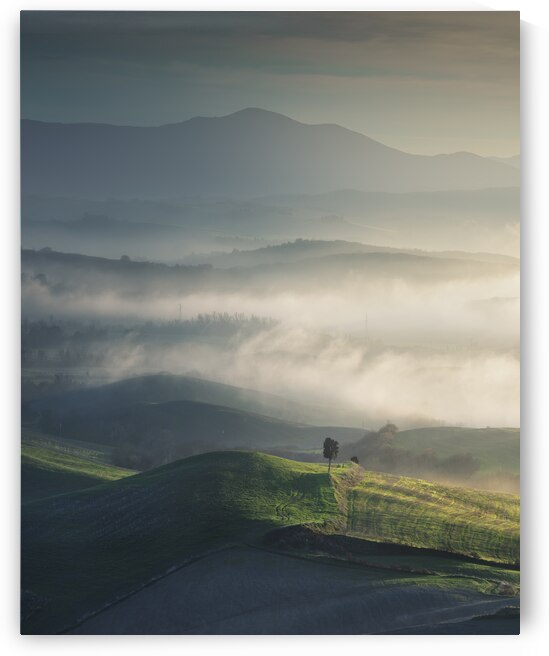 Foggy landscape in Volterra and a lonely tree. Tuscany by Stefano Orazzini