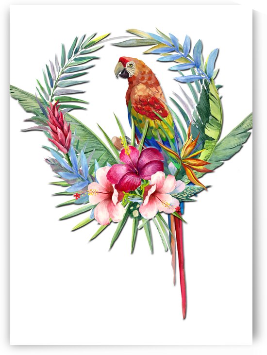 Tropical Scarlet Macaw by HH Photography of Florida