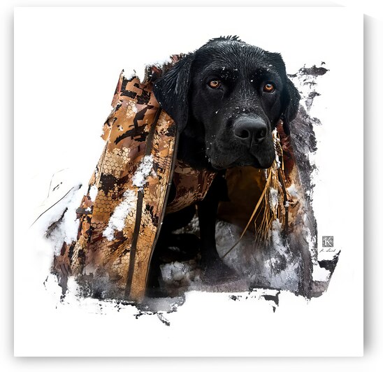 Boomer - Snow Days  by Kenneth Laird Studios