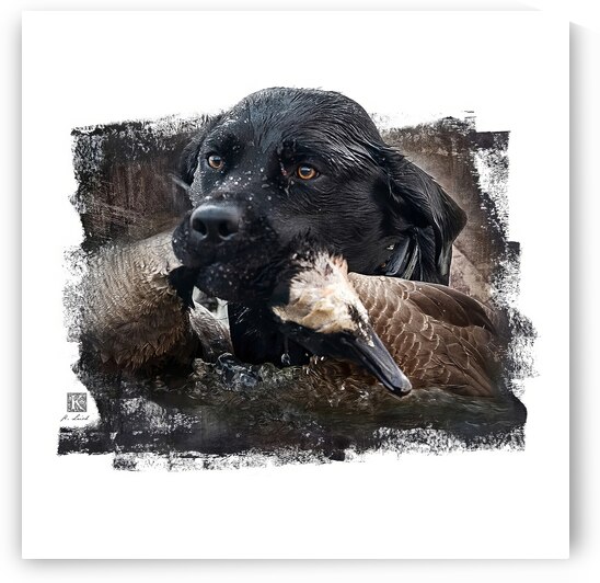 Boomer - No Fear by Kenneth Laird Studios
