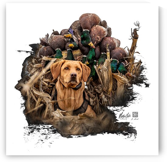 Bailey - Pretty Good Day by Kenneth Laird Studios