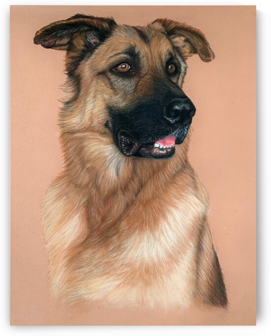 Axel by Amanda Melia Art