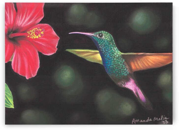 Glowing nectar by Amanda Melia Art