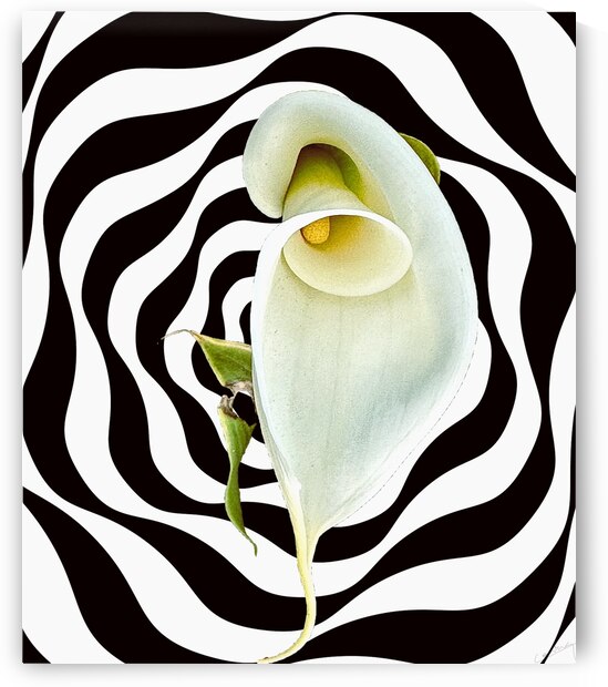 Return to Innocence - Purity Art Print by Corina Ioana