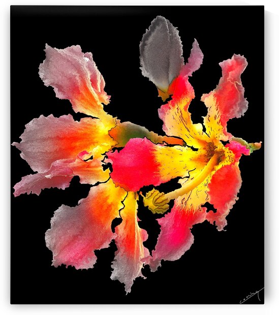 Wild Orchid Blooms - Vibrant Art Print by Corina Ioana