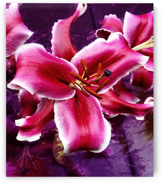 The Musky Sweet Stargazer Lily - Floral Art Print by Corina Ioana