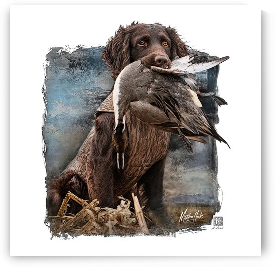 Clyde - Boykin Spaniel  by Kenneth Laird Studios