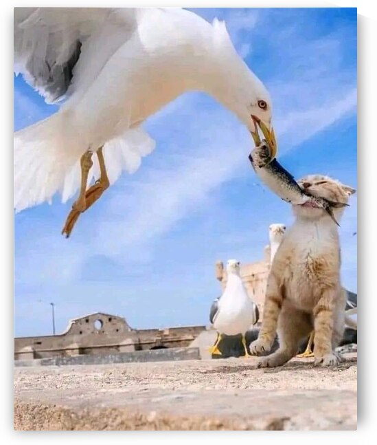 ASF045 by L art de l image et de l expression