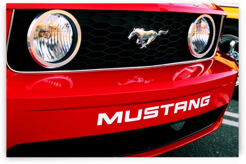 CPS-031 by Simon Maxx Gallery