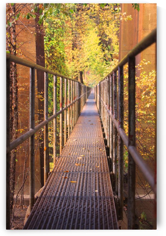 Fall Pipe Line Run 16x24 by Phillip A Snider Photography