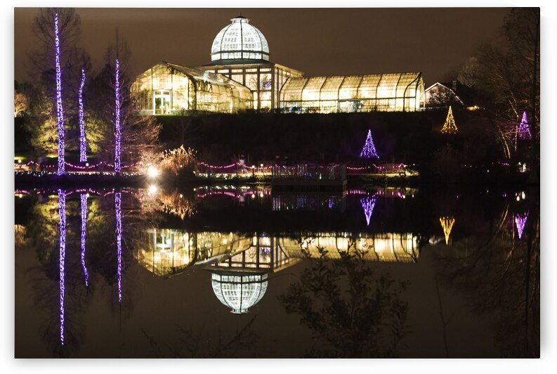 Lewis Ginter Fest of Lights cropped nik filters.j by Phillip A Snider Photography