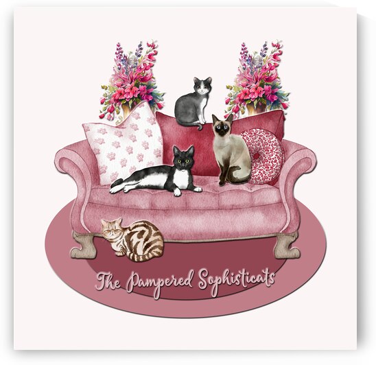 The Pampered Sophisticats by HH Photography of Florida