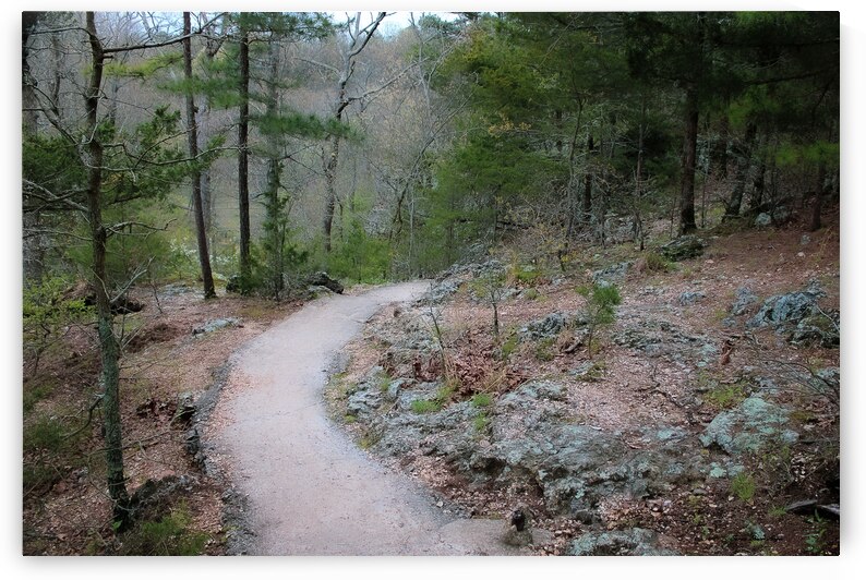 Pathway Series-4 - Tahlequah Trail  by Susan Diann Photography
