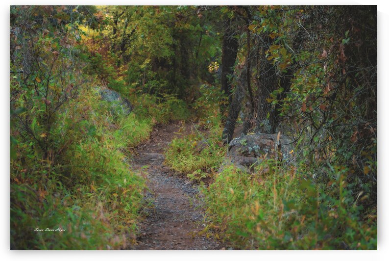 Pathway Series - 6  French Lake by Susan Diann Photography