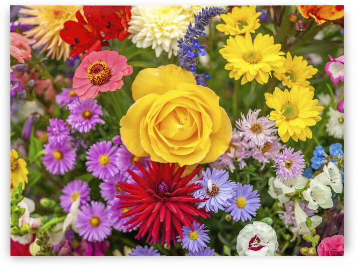 Garden Tapestry by Assaf Frank