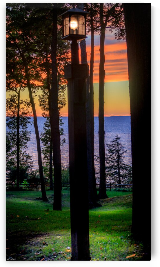 jludwigButterflyjpeg 3   Copy by J M Ludwig