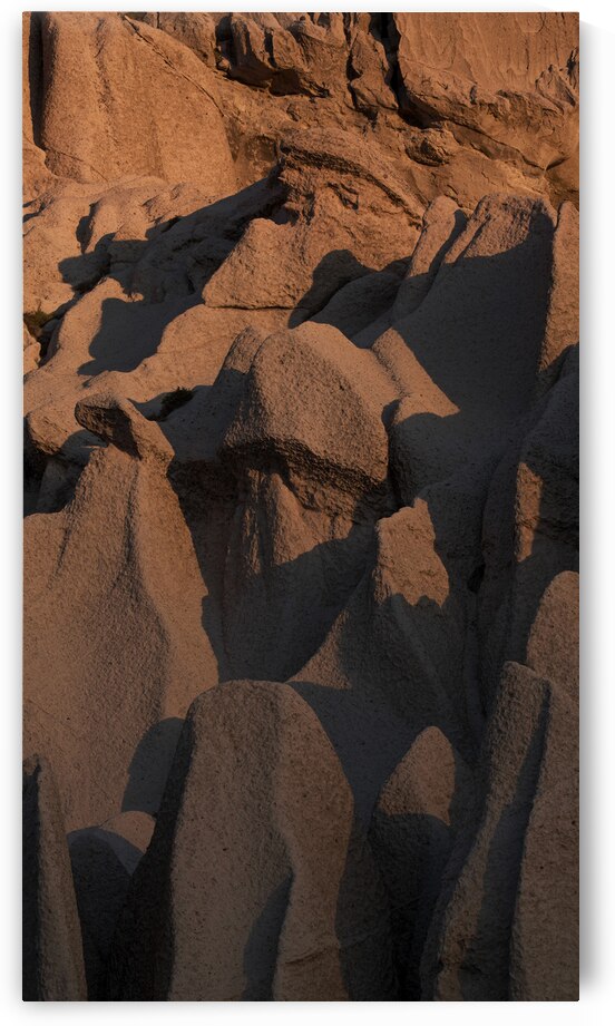 Formas by VOLCKMANNII