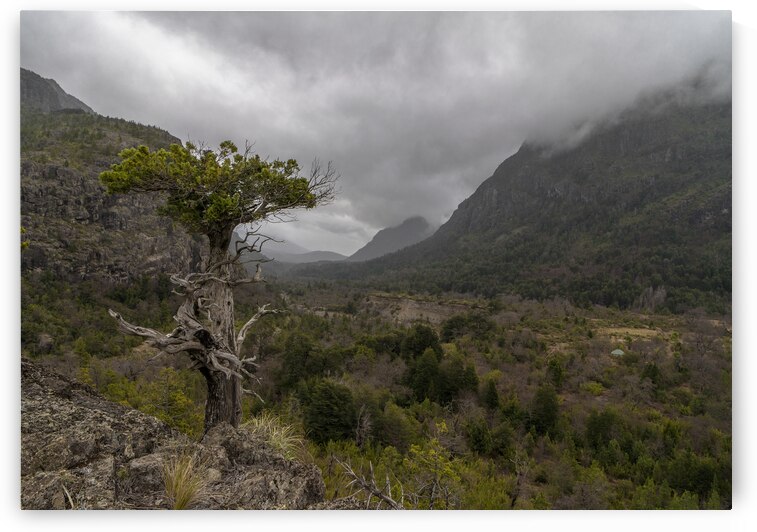 Reserva de Nuble by VOLCKMANNII