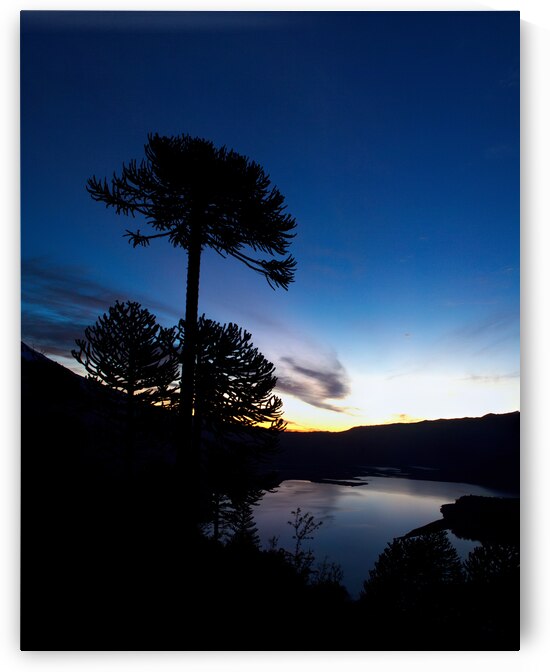 Conguillio by VOLCKMANNII