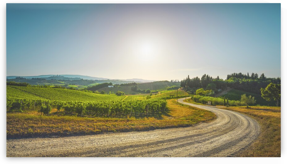 Road and vineyards in the San Gimignano countryside. Tuscany by Stefano Orazzini