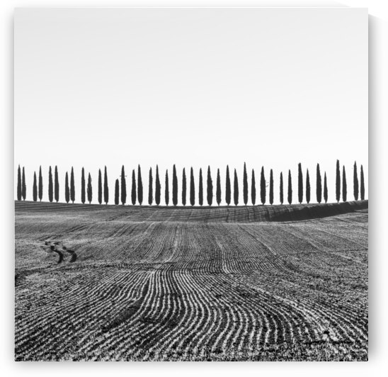 Frozen morning in Val d Orcia by Stefano Orazzini